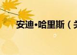 安迪·哈里斯（关于安迪·哈里斯介绍）