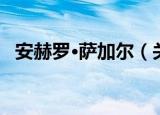 安赫罗·萨加尔（关于安赫罗·萨加尔介绍）