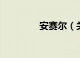 安赛尔（关于安赛尔介绍）