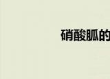 硝酸胍的合成（硝酸胍）