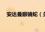 安达曼眼镜蛇（关于安达曼眼镜蛇介绍）