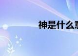 神是什么意思（神生真世）