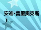 安迪·普里奥克斯（关于安迪·普里奥克斯介绍）