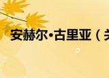 安赫尔·古里亚（关于安赫尔·古里亚介绍）