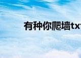 有种你爬墙txt下载（有种你爬墙）