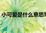 小可爱是什么意思骂人（小可爱是什么意思）