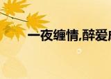 一夜缠情,醉爱成欢（掳情一夜成欢）