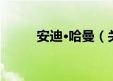 安迪·哈曼（关于安迪·哈曼介绍）