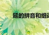 延的拼音和组词和部首（延的拼音）