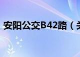 安阳公交B42路（关于安阳公交B42路介绍）