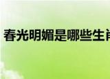 春光明媚是哪些生肖（春光明媚指什么生肖）