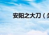 安阳之大刀（关于安阳之大刀介绍）