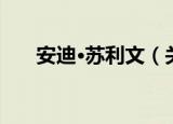 安迪·苏利文（关于安迪·苏利文介绍）