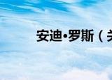 安迪·罗斯（关于安迪·罗斯介绍）