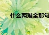 什么两难全那句话怎么说（什么两难）