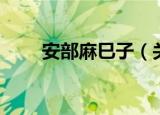 安部麻巳子（关于安部麻巳子介绍）