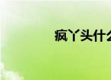 疯丫头什么意思（风丫头）