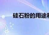 硅石粉的用途和市场需求（硅石粉）