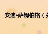 安迪·萨姆伯格（关于安迪·萨姆伯格介绍）