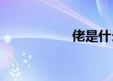 佬是什么意思?（佬）