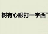 树有心眼打一字西下美女（树有心眼打一字）