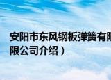 安阳市东风钢板弹簧有限公司（关于安阳市东风钢板弹簧有限公司介绍）