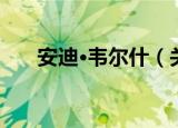 安迪·韦尔什（关于安迪·韦尔什介绍）