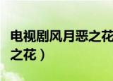 电视剧风月恶之花全部演员表（电视剧风月恶之花）