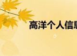 高洋个人信息（高洋个人资料）