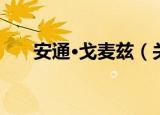 安通·戈麦兹（关于安通·戈麦兹介绍）