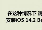  在这种情况下 请勿在当前的iPhone型号上安装iOS 14.2 Beta
