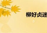 柳好贞迷迭香（柳好贞）