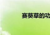 赛葵草的功效与作用（赛葵）