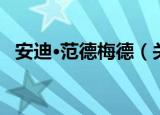 安迪·范德梅德（关于安迪·范德梅德介绍）