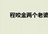 程咬金两个老婆（程咬金有几个老婆）
