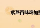 紫燕百味鸡加盟方式及费用（紫菲）