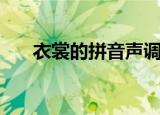 衣裳的拼音声调怎么标（衣裳的拼音）