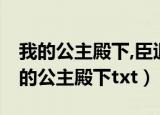 我的公主殿下,臣退了,这一退就是一辈子（我的公主殿下txt）