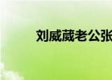 刘威葳老公张嘉译（刘威葳老公）