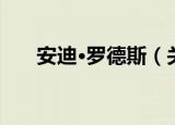 安迪·罗德斯（关于安迪·罗德斯介绍）