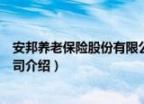 安邦养老保险股份有限公司（关于安邦养老保险股份有限公司介绍）