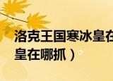 洛克王国寒冰皇在哪抓2020（洛克王国寒冰皇在哪抓）