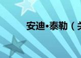 安迪·泰勒（关于安迪·泰勒介绍）