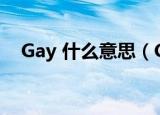 Gay 什么意思（GAY里GAY气什么意思）