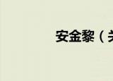 安金黎（关于安金黎介绍）