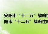 安阳市“十二五”战略性新兴产业发展规划的通知（关于安阳市“十二五”战略性新兴产业发展规划的通知介绍）