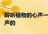 聆听植物的心声一文是用什么方法介绍植物心声的