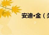 安迪·金（关于安迪·金介绍）