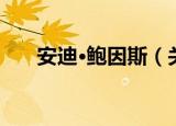 安迪·鲍因斯（关于安迪·鲍因斯介绍）