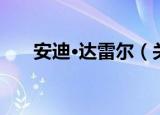 安迪·达雷尔（关于安迪·达雷尔介绍）